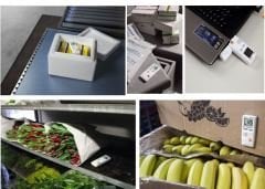 Testo 184 T3 - Nakliye İzleme İçin Sıcaklık Datalogger