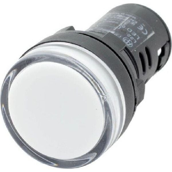 LAY5-EV166 Neon Sinyal Lambası