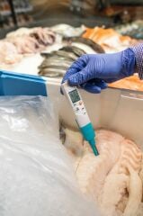 Testo 206 pH2 pH ve Sıcaklık Ölçer (Yarı-Katı Gıda) Çantalı Set