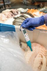 Testo 206 pH2 pH ve Sıcaklık Ölçer (Yarı-Katı Gıda) Çantalı Set