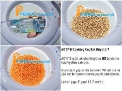 Ayarlanabilir Işık Seviyeli 5X Masaüstü Büyüteç