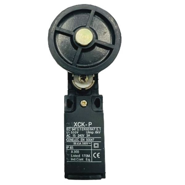 XCK-P119 Makaralı Plastik Limit Switch